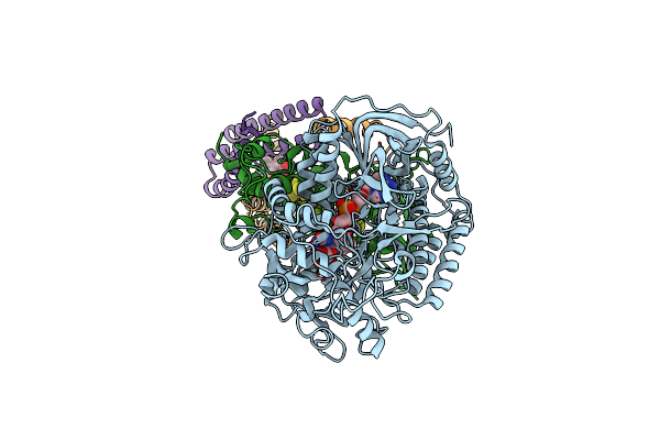 3SFD image