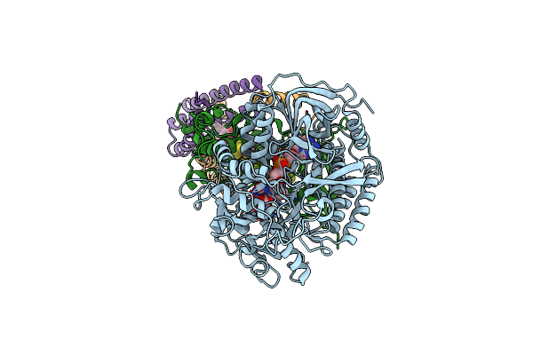 3SFE image