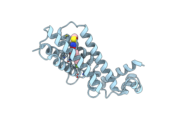 3SFI image