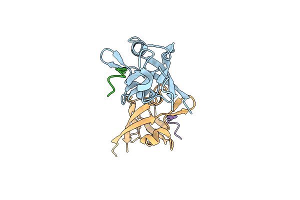 3SFJ image
