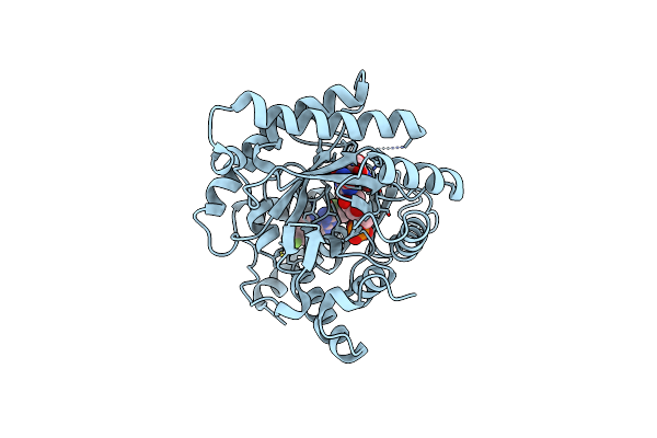 3SFK image