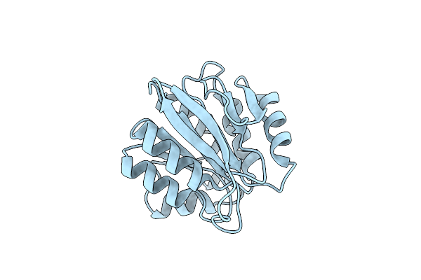 3SFT image