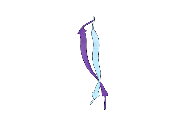 3SGN image