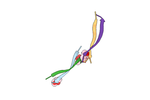 3SGP image