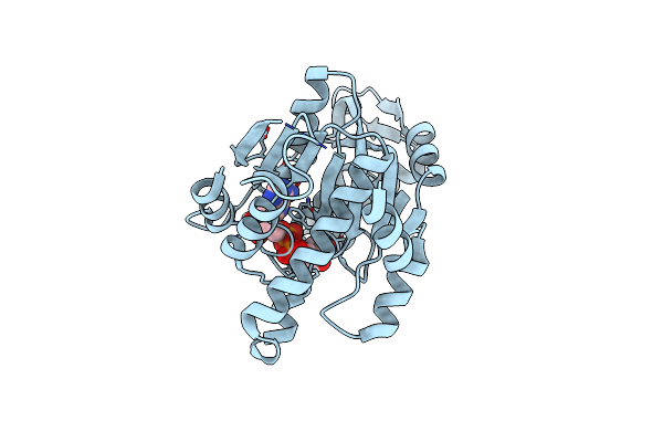 3SII image