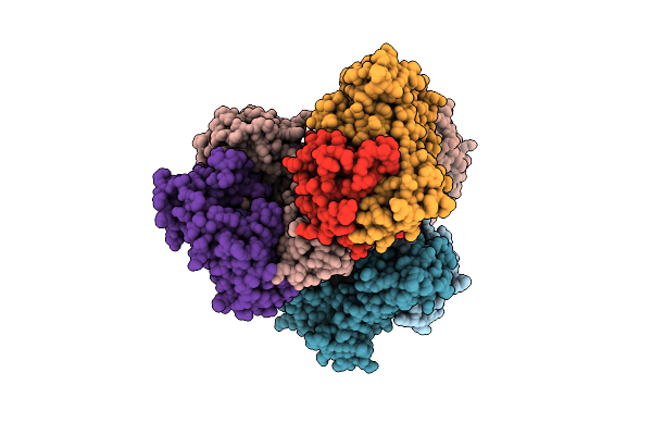 3SKN image