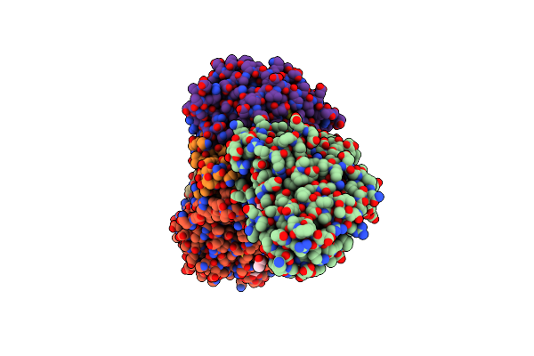 3SLE image
