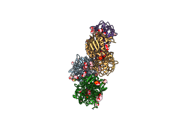 3SLH image