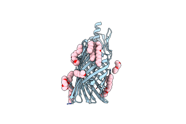 3SLT image