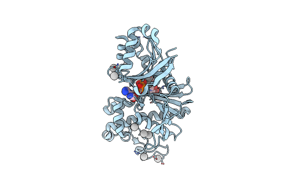 3SMS image