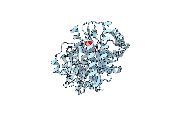 3SN0 image