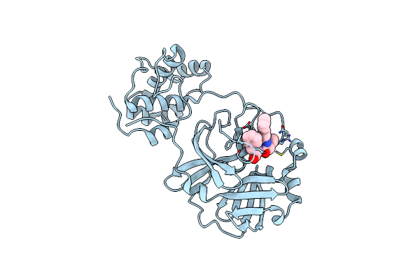 3SN8 image