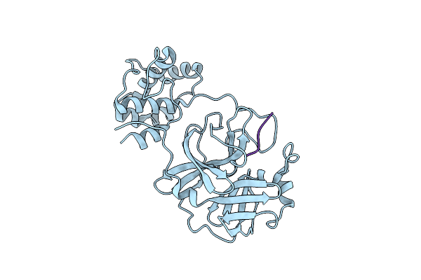 3SNA image