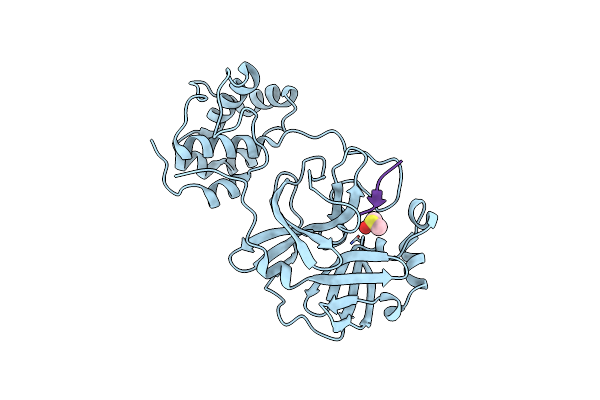 3SNC image