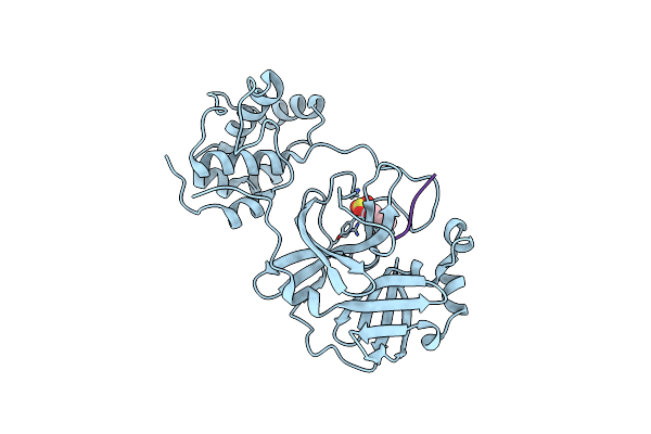3SNE image