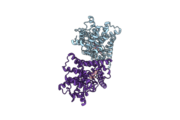 3SNI image