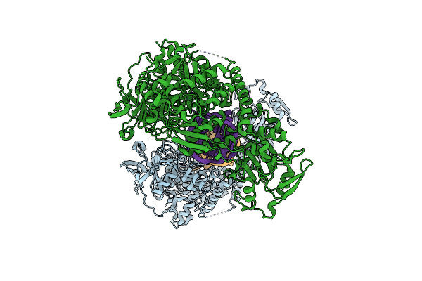 3SNP image