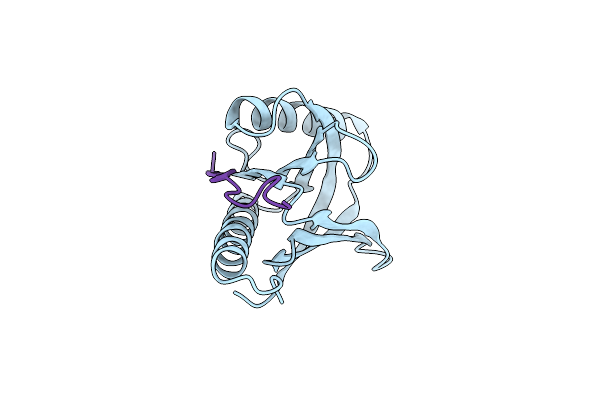 3SO6 image
