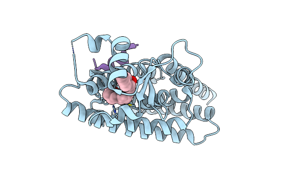 3SP6 image