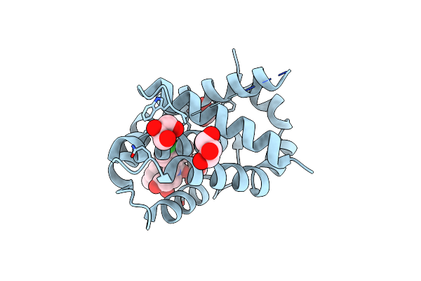 3SPF image