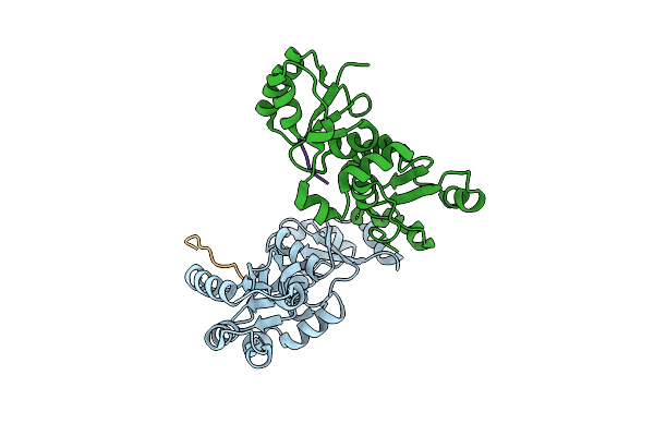 3SQD image