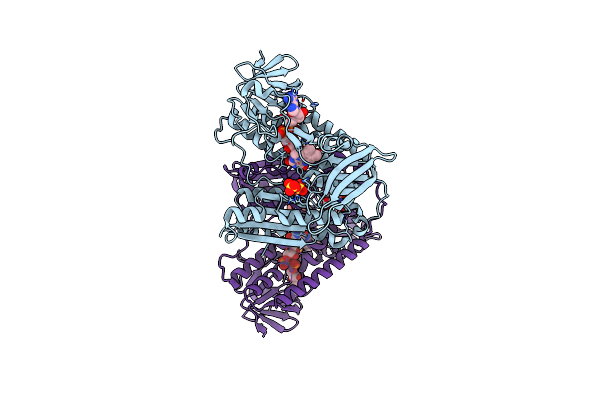 3SQP image