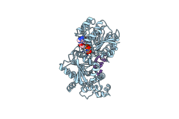 3SQX image