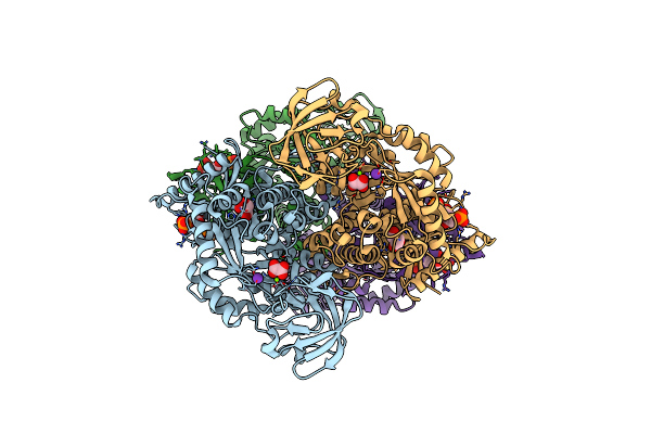 3SRD image