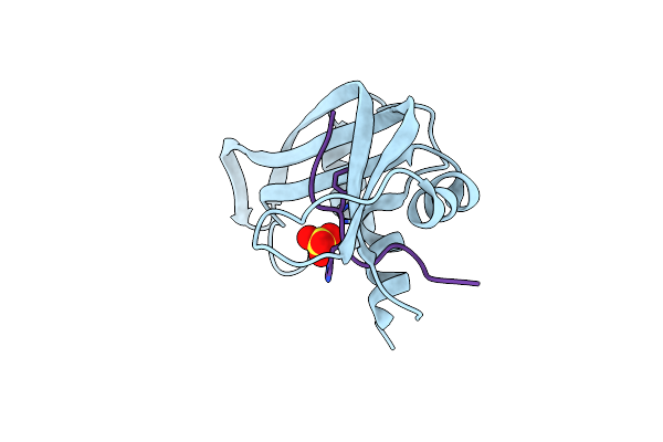 3SRN image