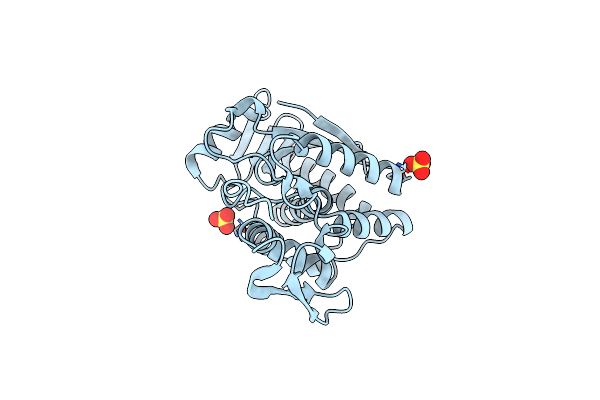 3SRP image