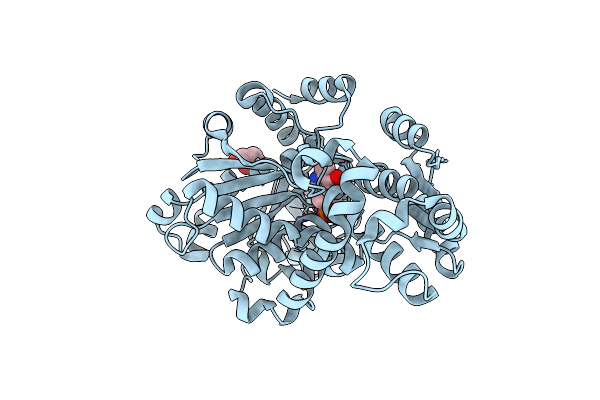 3SS7 image