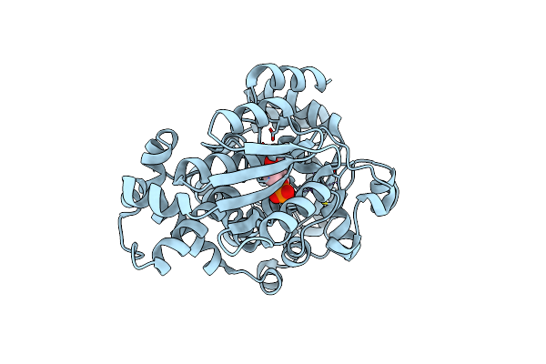 3SS9 image