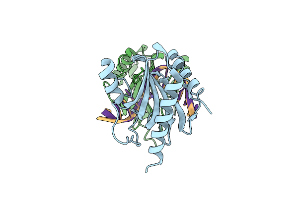 3SSC image