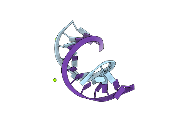 3SSF image