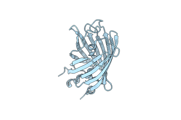 3SST image