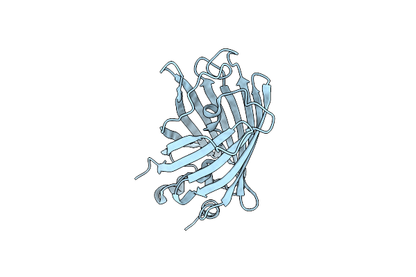 3SSV image