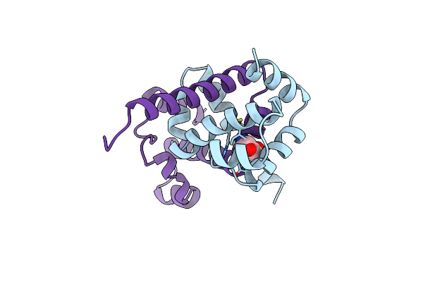 3SSX image