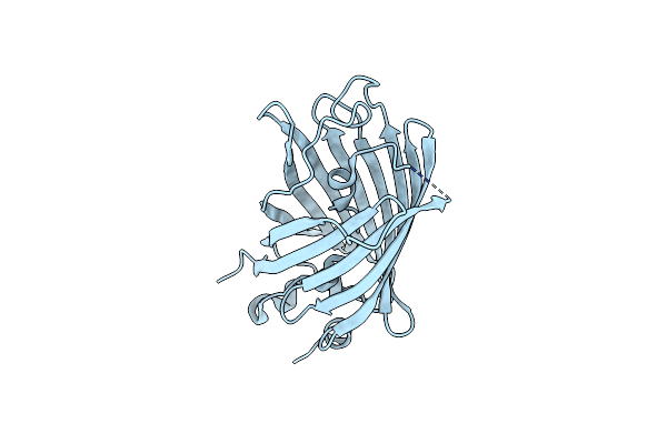 3SSY image