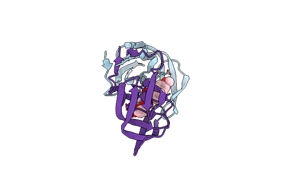 3ST5 image