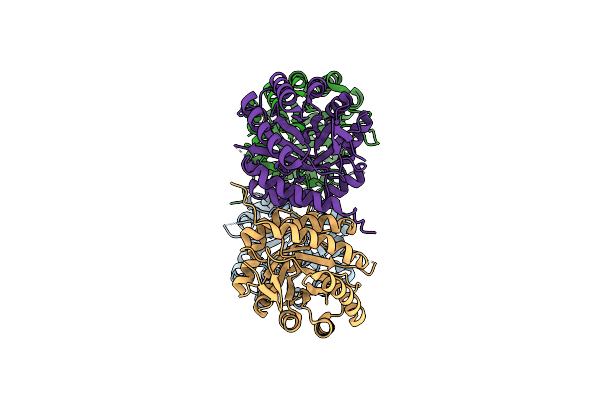 3STG image