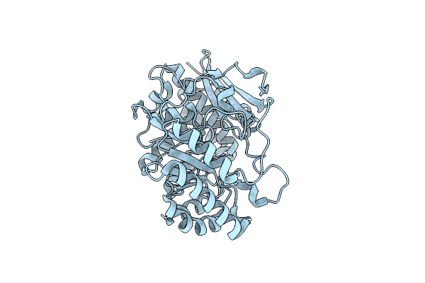 3STP image