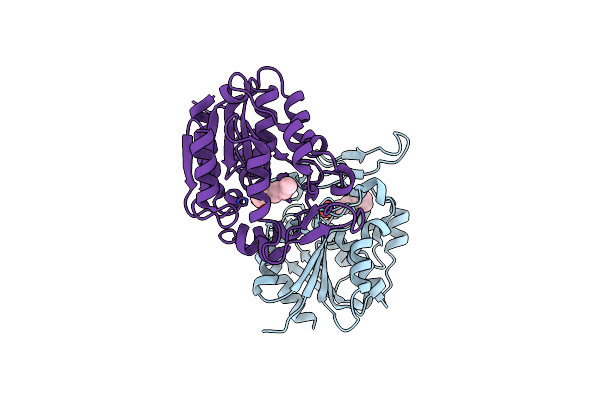 3STT image