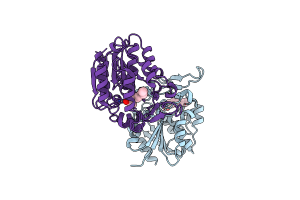 3STU image