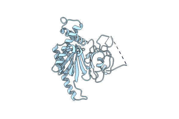 3SUZ image