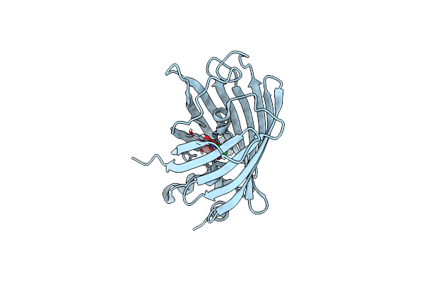3SVC image
