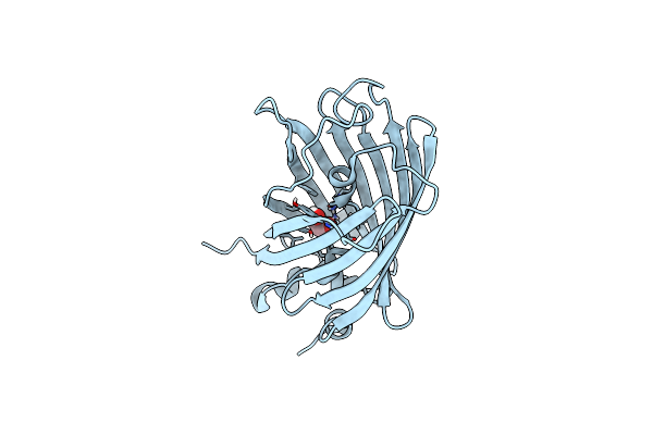 3SVD image