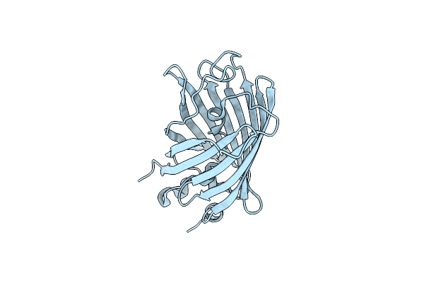 3SVE image