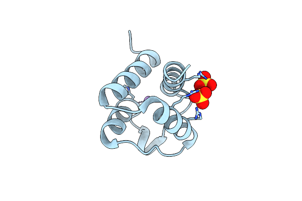 3SVI image