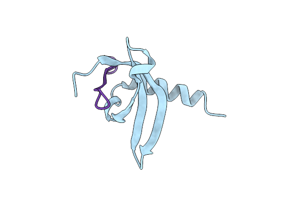 3SVM image