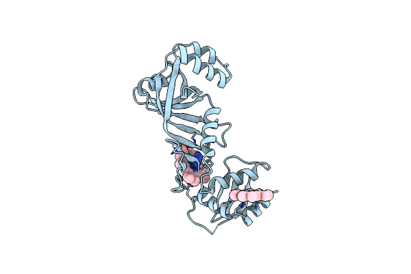 3SWJ image